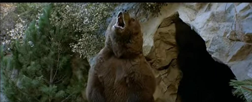 Screenshot of a large brown bear